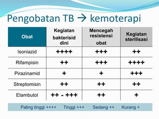 Pengobatan TB  kemoterapi
Obat
Kegiatan
bakterisid
dini
Mencegah
resistensi
obat
Kegiatan
sterilisasi
Isoniazid ++++ +++ ++
Rifampisin ++ +++ ++++
Pirazinamid + + +++
Streptomisin ++ ++ ++
Etambutol ++ - +++ ++ +
Paling tinggi ++++ Tinggi +++ Sedang ++ Kurang +
 
