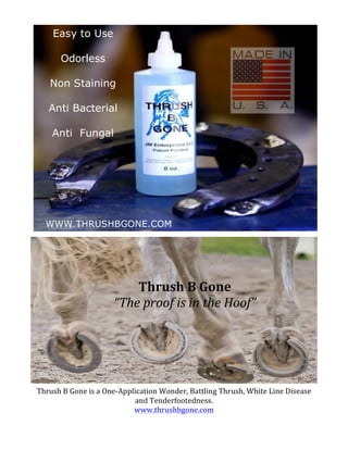 Easy to Use
Odorless
Non Staining
Anti Bacterial
Anti Fungal

WWW.THRUSHBGONE.COM
	
  

Thrush	
  B	
  Gone	
  
“The	
  proof	
  is	
  in	
  the	
  Hoof”	
  

Thrush	
  B	
  Gone	
  is	
  a	
  One-­‐Application	
  Wonder,	
  Battling	
  Thrush,	
  White	
  Line	
  Disease	
  
and	
  Tenderfootedness.	
  
www.thrushbgone.com	
  

 