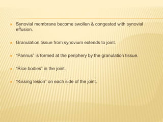  Synovial membrane become swollen & congested with synovial
effusion.
 Granulation tissue from synovium extends to joint.
 “Pannus” is formed at the periphery by the granulation tissue.
 “Rice bodies” in the joint.
 “Kissing lesion” on each side of the joint.
 