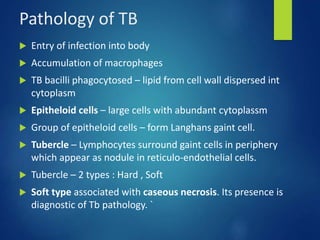 Pathology of TB
 Entry of infection into body
 Accumulation of macrophages
 TB bacilli phagocytosed – lipid from cell wall dispersed int
cytoplasm
 Epitheloid cells – large cells with abundant cytoplassm
 Group of epitheloid cells – form Langhans gaint cell.
 Tubercle – Lymphocytes surround gaint cells in periphery
which appear as nodule in reticulo-endothelial cells.
 Tubercle – 2 types : Hard , Soft
 Soft type associated with caseous necrosis. Its presence is
diagnostic of Tb pathology. `
 