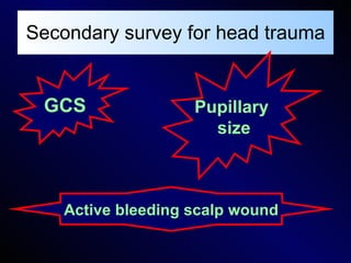 Secondary survey for head trauma GCS Pupillary  size Active   bleeding scalp wound 