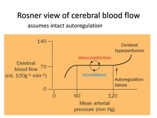Rosner view of cerebral blood flow
assumes intact autoregulation
 