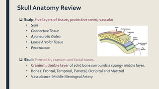 Skull Anatomy Review
 Scalp: five layers of tissue, protective cover, vascular
• Skin
• ConnectiveTissue
• Aponeurotic Galea
• Loose AreolarTissue
• Pericranium
 Skull: Formed by cranium and facial bones.
• Cranium: double layer of solid bone surrounds a spongy middle layer.
• Bones: Frontal,Temporal, Parietal, Occipital and Mastoid
• Vasculature: Middle Meningeal Artery
 