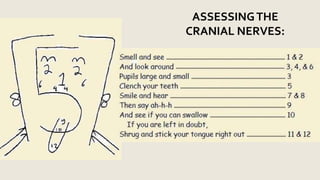 ASSESSINGTHE
CRANIAL NERVES:
 