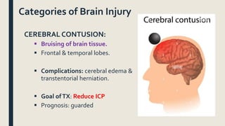 Categories of Brain Injury
CEREBRAL CONTUSION:
 Bruising of brain tissue.
 Frontal & temporal lobes.
 Complications: cerebral edema &
transtentorial herniation.
 Goal ofTX: Reduce ICP
 Prognosis: guarded
 