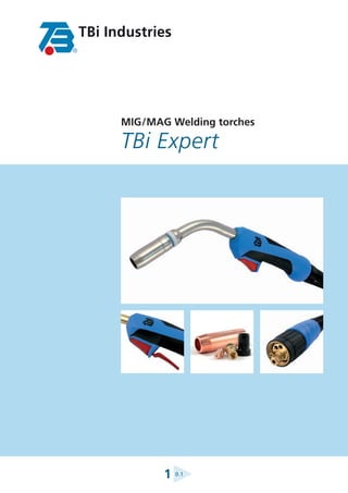 TBi Industries




      MIG / MAG Welding torches

      TBi Expert




                ►
              1   0 . 1
 