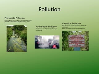 Pollution
Phosphate Pollution
http://t3.gstatic.com/images?q=tbn:ANd9GcQlfn07AP
g4MiB0hUqw9ykexNNxv1e7Ej9BpVxph4Sg_u1J5hr-
Automobile Pollution
http://newsfrance.fr/photos2/pollution_au
tomobile.jpg
Chemical Pollution
http://t1.gstatic.com/images?q=tbn:ANd9GcS81
dxDjRIhpU1-
RHFVCUIXvpOHFctAtzsXKszR2o0FhBH9md30
 