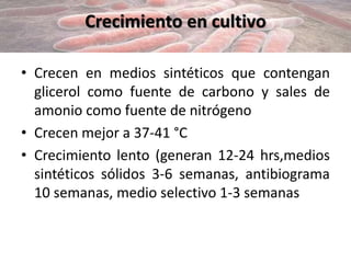 Crecimiento en cultivo
• Crecen en medios sintéticos que contengan
glicerol como fuente de carbono y sales de
amonio como fuente de nitrógeno
• Crecen mejor a 37-41 °C
• Crecimiento lento (generan 12-24 hrs,medios
sintéticos sólidos 3-6 semanas, antibiograma
10 semanas, medio selectivo 1-3 semanas
 