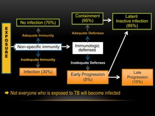  Not everyone who is exposed to TB will become infected
No infection (70%)
Adequate Immunity
Non-specific immunity
Inadequate Immunity
Infection (30%)
E
X
P
O
S
U
R
E
Immunologic
defenses
Inadequate Defenses
Early Progression
(5%)
Adequate Defenses
Containment
(95%)
Late
Progression
(10%)
Latent
Inactive infection
(95%)
 