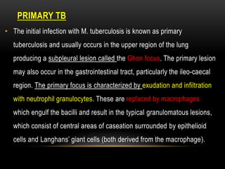 PRIMARY TB
• The initial infection with M. tuberculosis is known as primary
tuberculosis and usually occurs in the upper region of the lung
producing a subpleural lesion called the Ghon focus. The primary lesion
may also occur in the gastrointestinal tract, particularly the ileo-caecal
region. The primary focus is characterized by exudation and infiltration
with neutrophil granulocytes. These are replaced by macrophages
which engulf the bacilli and result in the typical granulomatous lesions,
which consist of central areas of caseation surrounded by epithelioid
cells and Langhans’ giant cells (both derived from the macrophage).
 