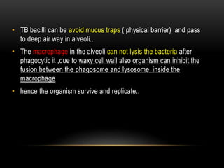 • TB bacilli can be avoid mucus traps ( physical barrier) and pass
to deep air way in alveoli..
• The macrophage in the alveoli can not lysis the bacteria after
phagocytic it ,due to waxy cell wall also organism can inhibit the
fusion between the phagosome and lysosome, inside the
macrophage
• hence the organism survive and replicate..
 