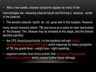 • After a few weeks, disease symptoms appear as many of the
macrophages die, releasing tubercle bacilli and forming a caseous center
in the tubercle.
• The aerobic tubercle bacilli do not grow well in this location. However
many remain dormant (latent TB) and serve as a basis for later reactivation
of the disease. The disease may be arrested at this stage, and the lesions
become calcified.
• the LPS (lipopolysaccharide ) in the bacterial cell wall induce
macrophage to secrete TNF alpha which response for many symptoms
of TB: low grade fever - weight loss - night sweating...
• organism contain heat shock protein that stimulates T-lymphocyte
autoimmine reaction which causes further tissue damage.
 