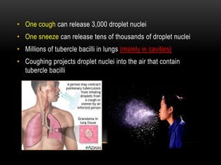 • One cough can release 3,000 droplet nuclei
• One sneeze can release tens of thousands of droplet nuclei
• Millions of tubercle bacilli in lungs (mainly in cavities)
• Coughing projects droplet nuclei into the air that contain
tubercle bacilli
 