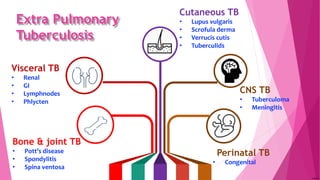 Bone & joint TB
• Pott’s disease
• Spondylitis
• Spina ventosa
Visceral TB
• Renal
• GI
• Lymphnodes
• Phlycten
Perinatal TB
• Congenital
CNS TB
• Tuberculoma
• Meningitis
Cutaneous TB
• Lupus vulgaris
• Scrofula derma
• Verrucis cutis
• Tuberculids
Extra Pulmonary
Tuberculosis
 