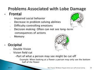 •

Frontal
o
o
o
o

o

•

Impaired social behavior
Decrease in problem solving abilities
Difficulty controlling emotions
Decision making: Often can not see long-term
consequences of actions
Memory

Occipital
o
o

Double Vision
Vision field cut
-Part of what a person may see might be cut off
Example: When looking at a flower a person may only see the bottom
half of the flower

20113

West Virginia TBI Waiver Program direct care staff annual training

20

 
