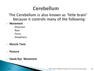 The Cerebellum is also known as “little brain”
because it controls many of the following:
•

Movement
o
o
o
o

Direction
Rate
Force
Steadiness

•

Muscle Tone

•

Posture

•

Hand/Eye Movement

2013

West Virginia TBI Waiver Program direct care staff annual training

26

 