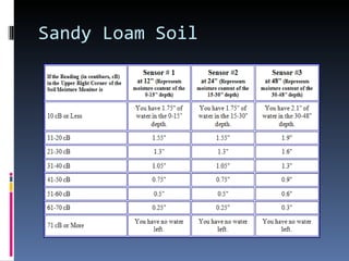 Sandy Loam Soil 