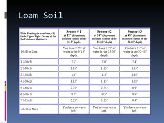 Loam Soil 