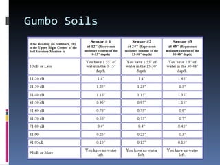 Gumbo Soils 