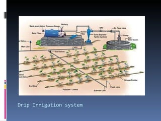 Drip Irrigation system 