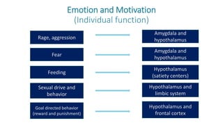 Traumatic Brain Injury to temporal lobe and cognitive rehabilitation | PPTX