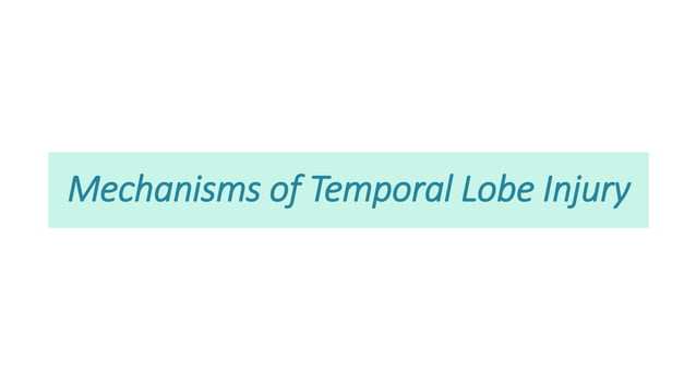 Traumatic Brain Injury to temporal lobe and cognitive rehabilitation | PPT