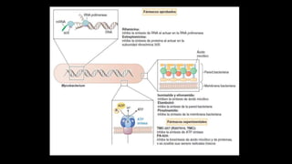 Tuberculosis en Pediatria