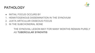 PATHOLOGY
● INITIAL FOCUS OCCURS BY
1. HEMATOGENOUS DISSEMINATION IN THE SYNOVIUM
2. JUXTA ARTICULAR OSSEOUS FOCUS
3. IN THE SUBCHONDRAL BONE
THE SYNOVIAL LESION MAY FOR MANY MONTHS REMAIN PURELY
AS TUBERCULAR SYNOVITIS
 