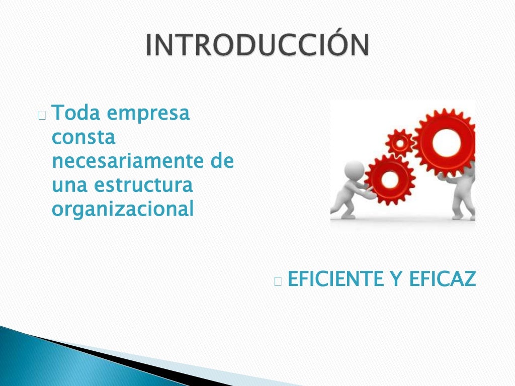 Organización funcional o de taylor ofimática copia