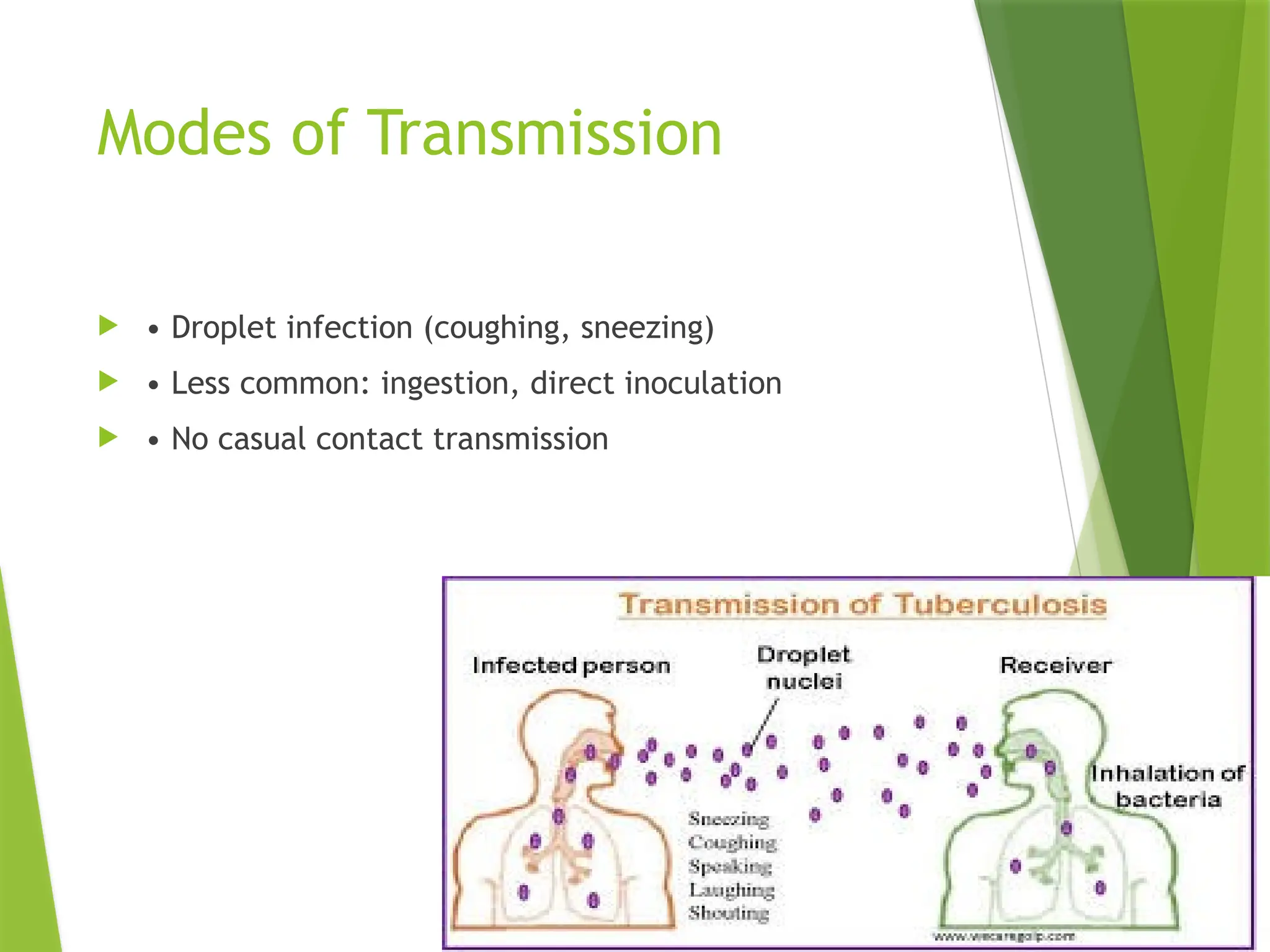 Modes of Transmission
 • Droplet infection (coughing, sneezing)
 • Less common: ingestion, direct inoculation
 • No casual contact transmission
 