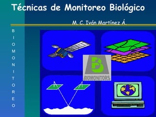 Técnicas de Monitoreo Biológico M. C. Iván Martínez Á. B I O M O N I T O R E O 