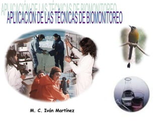 APLIICACIÓN DE LAS TÉCNICAS DE BIOMONITOREO M. C. Iván Martínez 