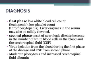 DIAGNOSIS
• first phase low white blood cell count
(leukopenia), low platelet count
(thrombocytopenia). Liver enzymes in the serum
may also be mildly elevated.
• second phase onset of neurologic disease increase
in the number of white blood cells in the blood and
the cerebrospinal fluid (CSF)
• Virus isolation from the blood during the first phase
of the disease and CSF from second phase.
• Moderate pleocytosis and increased cerebrospinal
fluid albumin
 