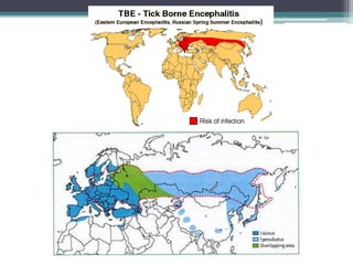 Tick Borne Encephalitis