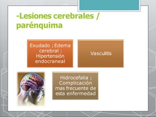 -Lesiones cerebrales /
parénquima
Exudado ;Edema
cerebral :
Hipertensión
Vasculitis
endocraneal
Hidrocefalia ;
Complicació...