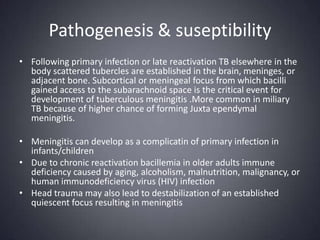 Pathogenesis & suseptibilityFollowing primary infection or late reactivation TB elsewhere in the body scattered tubercles are established in the brain, meninges, or adjacent bone. Subcortical or meningeal focus from which bacilli gained access to the subarachnoid space is the critical event for development of tuberculous meningitis .More common in miliary TB because of higher chance of forming Juxta ependymal meningitis. Meningitis can develop as a complicatin of primary infection in infants/children Due to chronic reactivation bacillemia in older adults immune deficiency caused by aging, alcoholism, malnutrition, malignancy, or human immunodeficiency virus (HIV) infectionHead trauma may also lead to destabilization of an established quiescent focus resulting in meningitis