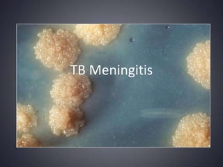 TB Meningitis