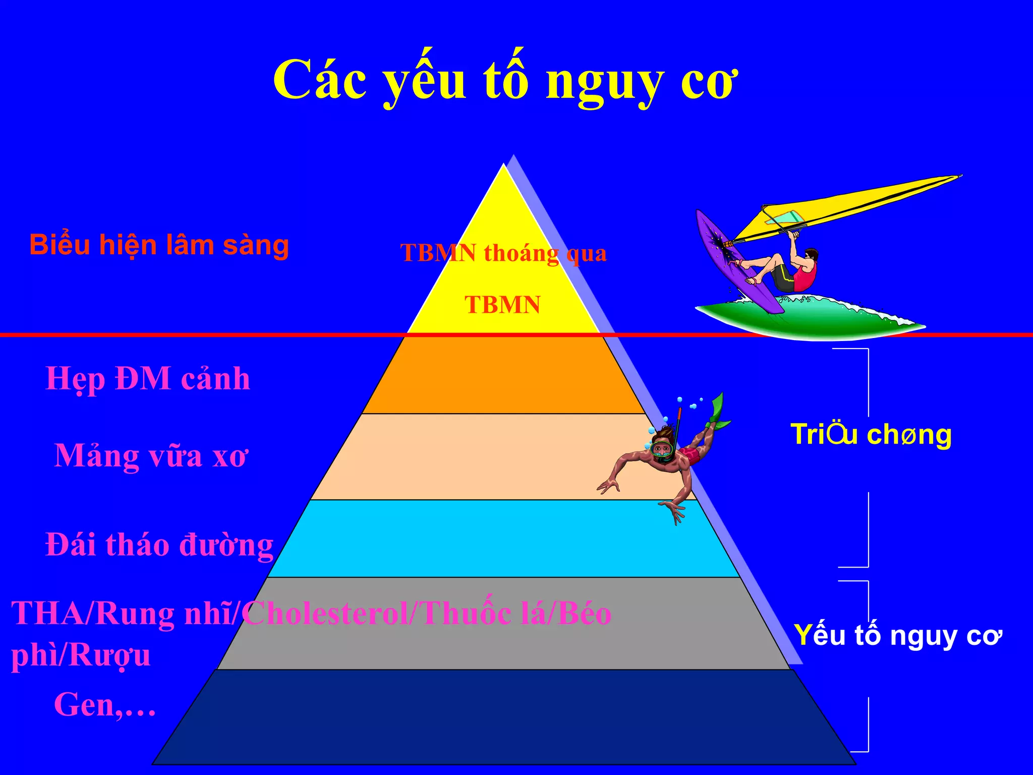 Mảng vữa xơ
Hẹp ĐM cảnh
Biểu hiện lâm sàng
THA/Rung nhĩ/Cholesterol/Thuốc lá/Béo
phì/Rượu
Gen,…
TriÖu chøng
Yếu tố nguy cơ
Các yếu tố nguy cơ
TBMN thoáng qua
TBMN
Đái tháo đường
 