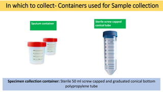 In which to collect- Containers used for Sample collection
Sterile screw capped
conical tube
Sputum container
27
Specimen ...