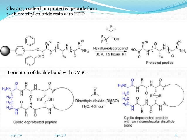 t boc fmoc protocols in peptide synthesis solid phase peptide synthesis
