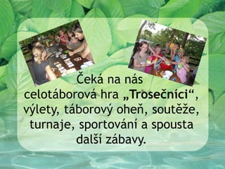 Čeká na nás
celotáborová hra „Trosečníci“,
výlety, táborový oheň, soutěže,
 turnaje, sportování a spousta
          další zábavy.
 