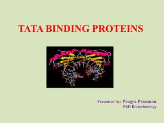 TATA BINDING PROTEINS
Presented by: Pragya Prasanna
PhD Biotechnology
 