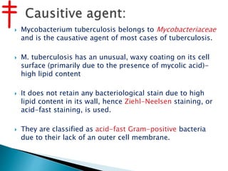  Mycobacterium tuberculosis belongs to Mycobacteriaceae
and is the causative agent of most cases of tuberculosis.
 M. tuberculosis has an unusual, waxy coating on its cell
surface (primarily due to the presence of mycolic acid)-
high lipid content
 It does not retain any bacteriological stain due to high
lipid content in its wall, hence Ziehl-Neelsen staining, or
acid-fast staining, is used.
 They are classified as acid-fast Gram-positive bacteria
due to their lack of an outer cell membrane.
 