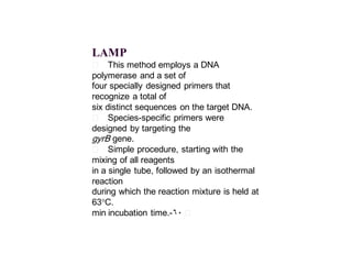 LAMP
􀂄 This method employs a DNA
polymerase and a set of
four specially designed primers that
recognize a total of
six distinct sequences on the target DNA.
􀂄 Species-specific primers were
designed by targeting the
gyrB gene.
􀂄 Simple procedure, starting with the
mixing of all reagents
in a single tube, followed by an isothermal
reaction
during which the reaction mixture is held at
63°C.
􀂄60-min incubation time.
 