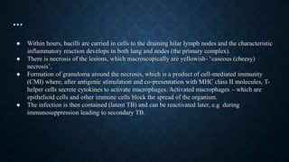 …
● Within hours, bacilli are carried in cells to the draining hilar lymph nodes and the characteristic
inflammatory reaction develops in both lung and nodes (the primary complex).
● There is necrosis of the lesions, which macroscopically are yellowish- ‘caseous (cheesy)
necrosis’.
● Formation of granuloma around the necrosis, which is a product of cell-mediated immunity
(CMI) where, after antigenic stimulation and co-presentation with MHC class II molecules, T-
helper cells secrete cytokines to activate macrophages. Activated macrophages – which are
epithelioid cells and other immune cells block the spread of the organism.
● The infection is then contained (latent TB) and can be reactivated later, e.g during
immunosuppression leading to secondary TB.
 