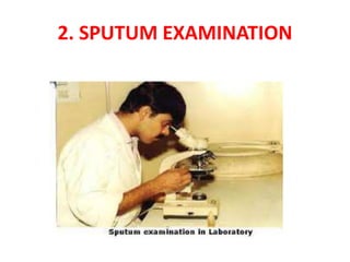 2. SPUTUM EXAMINATION
 