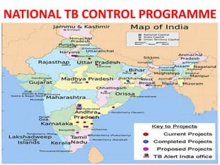 NATIONAL TB CONTROL PROGRAMME
 