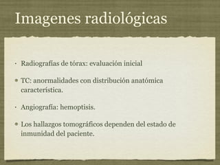 Imagenes radiológicas Radiografías de tórax: evaluación inicial  TC: anormalidades con distribución anatómica característica. Angiografía: hemoptisis. Los hallazgos tomográficos dependen del estado de inmunidad del paciente. 