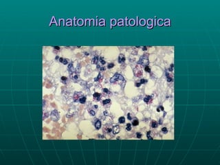 Anatomia patologica 