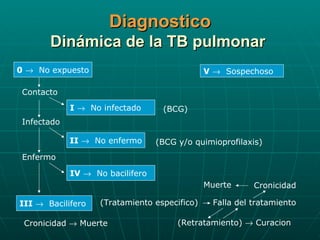 Diagnostico Dinámica de la TB pulmonar  0      No expuesto Contacto I      No infectado Infectado II      No enfermo Enfermo IV      No bacilifero III      Bacilifero (Tratamiento especifico) (BCG y/o quimioprofilaxis) (BCG) V      Sospechoso Cronicidad    Muerte Falla del tratamiento (Retratamiento)    Curacion Cronicidad Muerte 